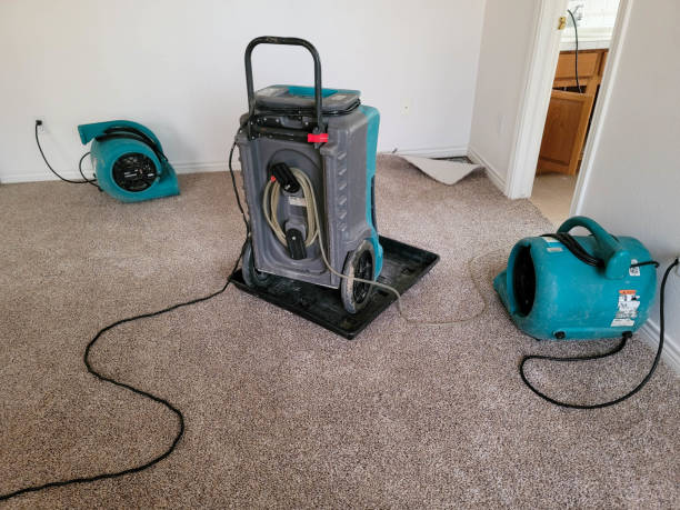 Best Water damage cleanup near me  in Winnemucca, NV