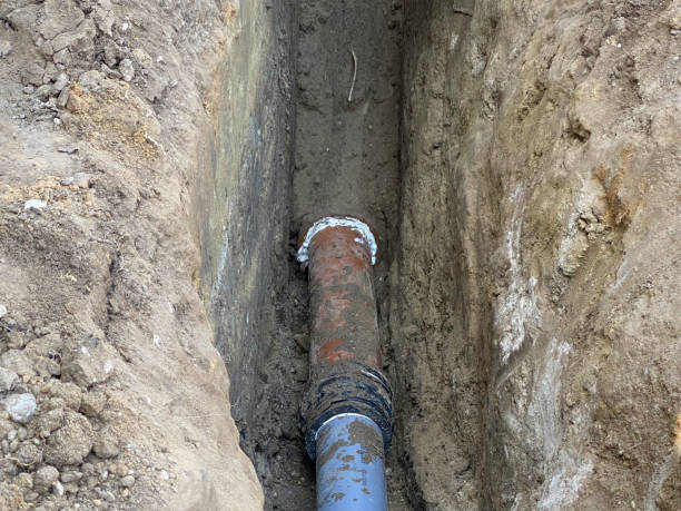 Best Professional water damage repair  in Winnemucca, NV