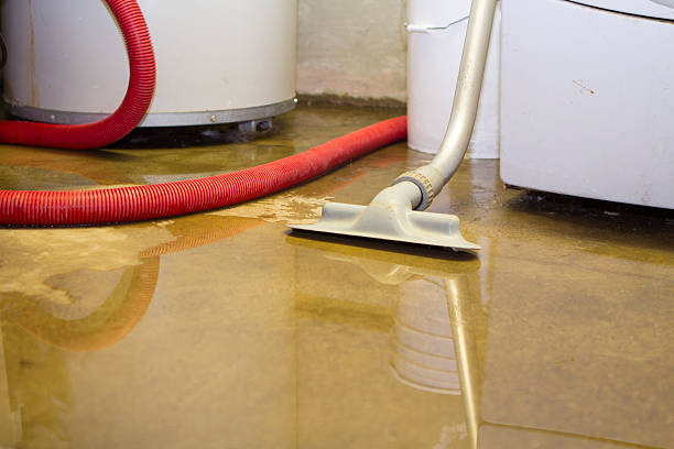  Winnemucca, NV Water damage restoration Pros