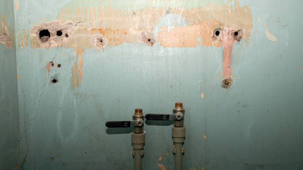Water damage restoration insurance claims in Winnemucca, NV