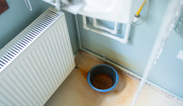 Best Mold removal after water damage  in Winnemucca, NV