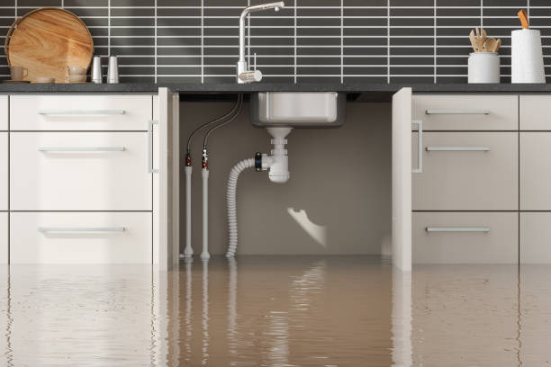 Best Basement water damage restoration  in Winnemucca, NV