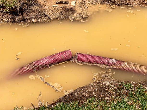 Reliable Winnemucca, NV Water damage restoration Solutions