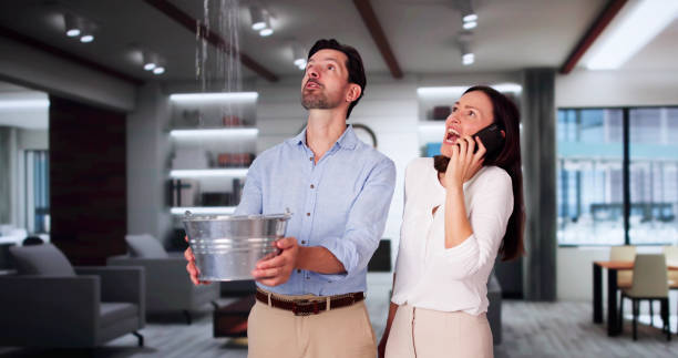 Best Water damage restoration near me  in Winnemucca, NV