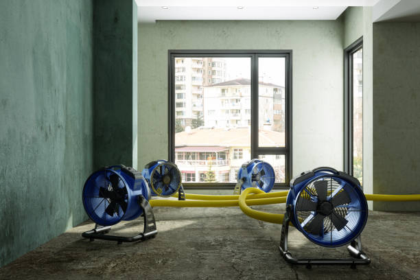 Best Water damage restoration near me  in Winnemucca, NV