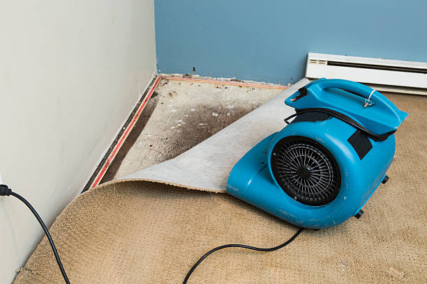 Best Flooded house restoration  in Winnemucca, NV